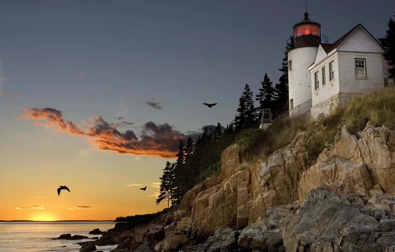 Photo wallpaper sunset, birds, rock, lighthouse, seagulls, port, Bay, USA