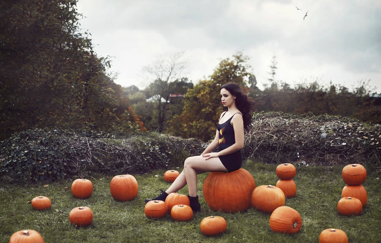 Photo wallpaper girl, background, pumpkin