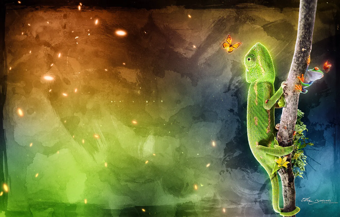 Photo wallpaper branches, frog, iguana