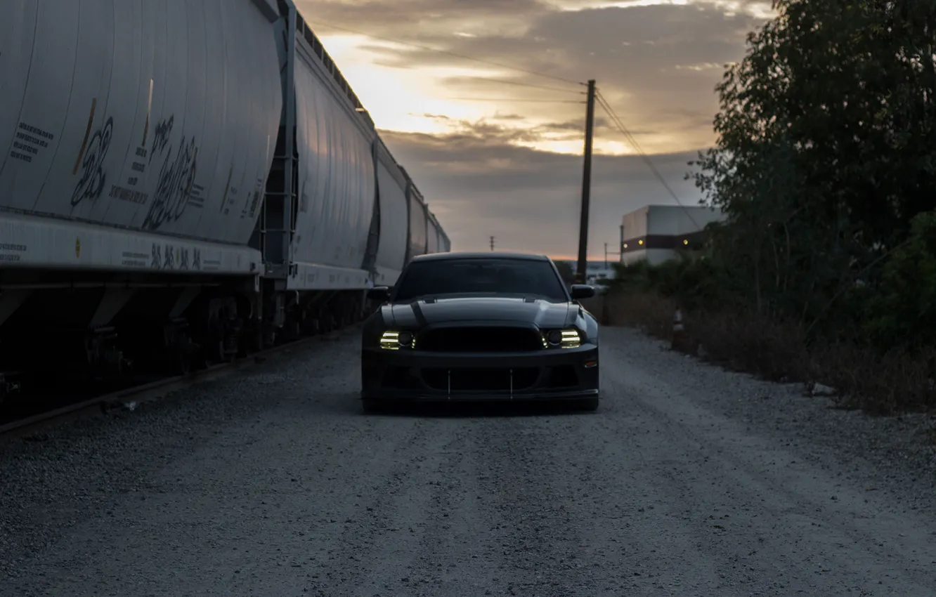 Photo wallpaper Mustang, Ford, Shelby