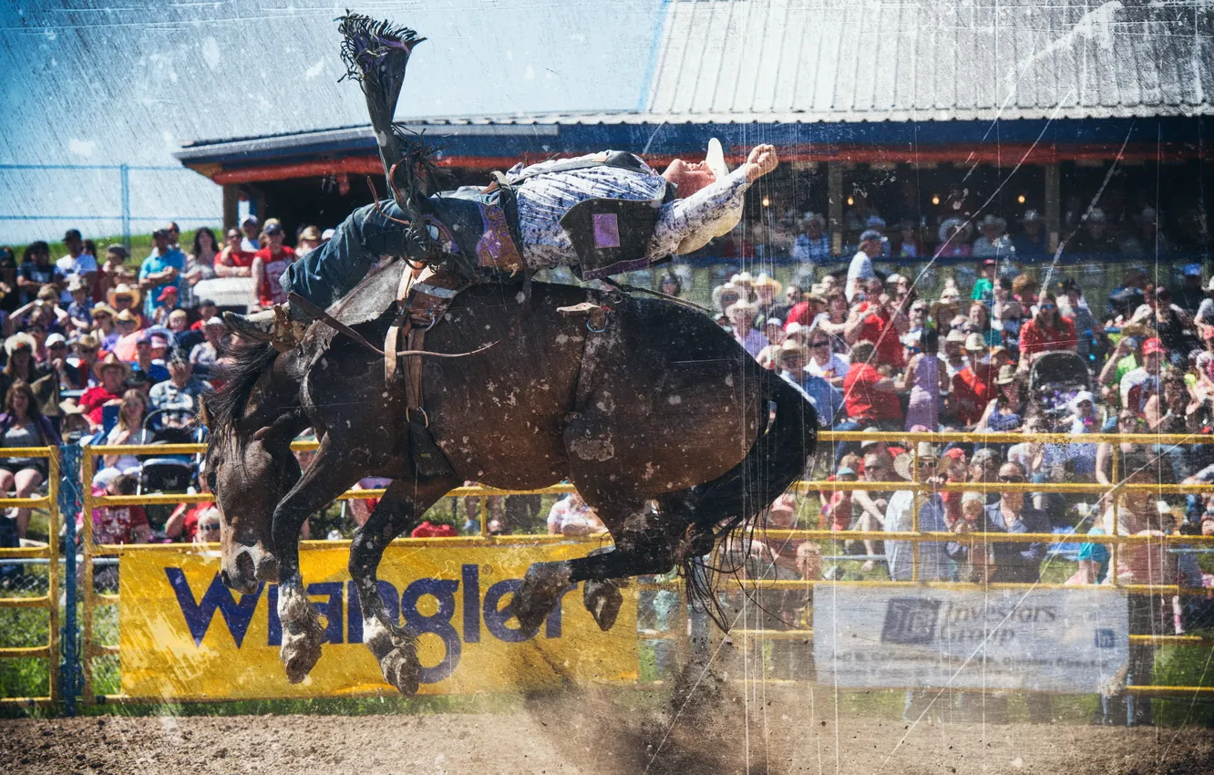 Photo wallpaper background, sport, Rodeo