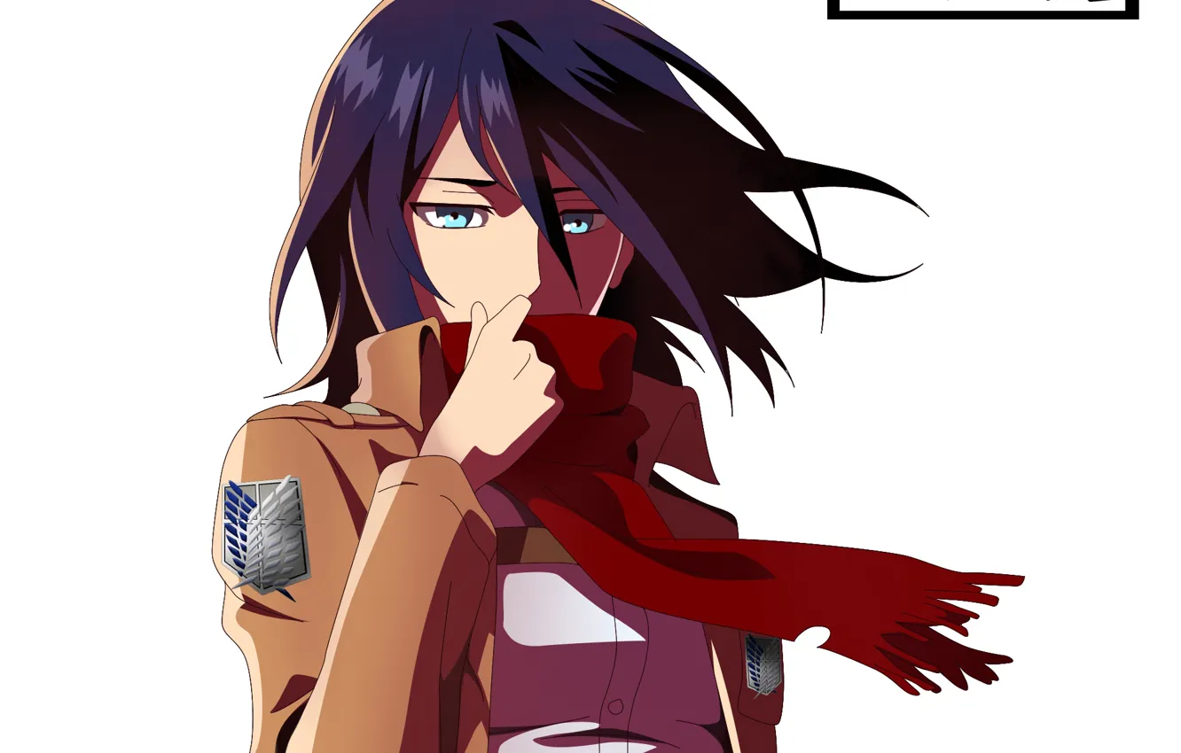 Photo wallpaper girl, scarf, Shingeki No Kyojin, Attack of the titans, Mikasa Ackerman