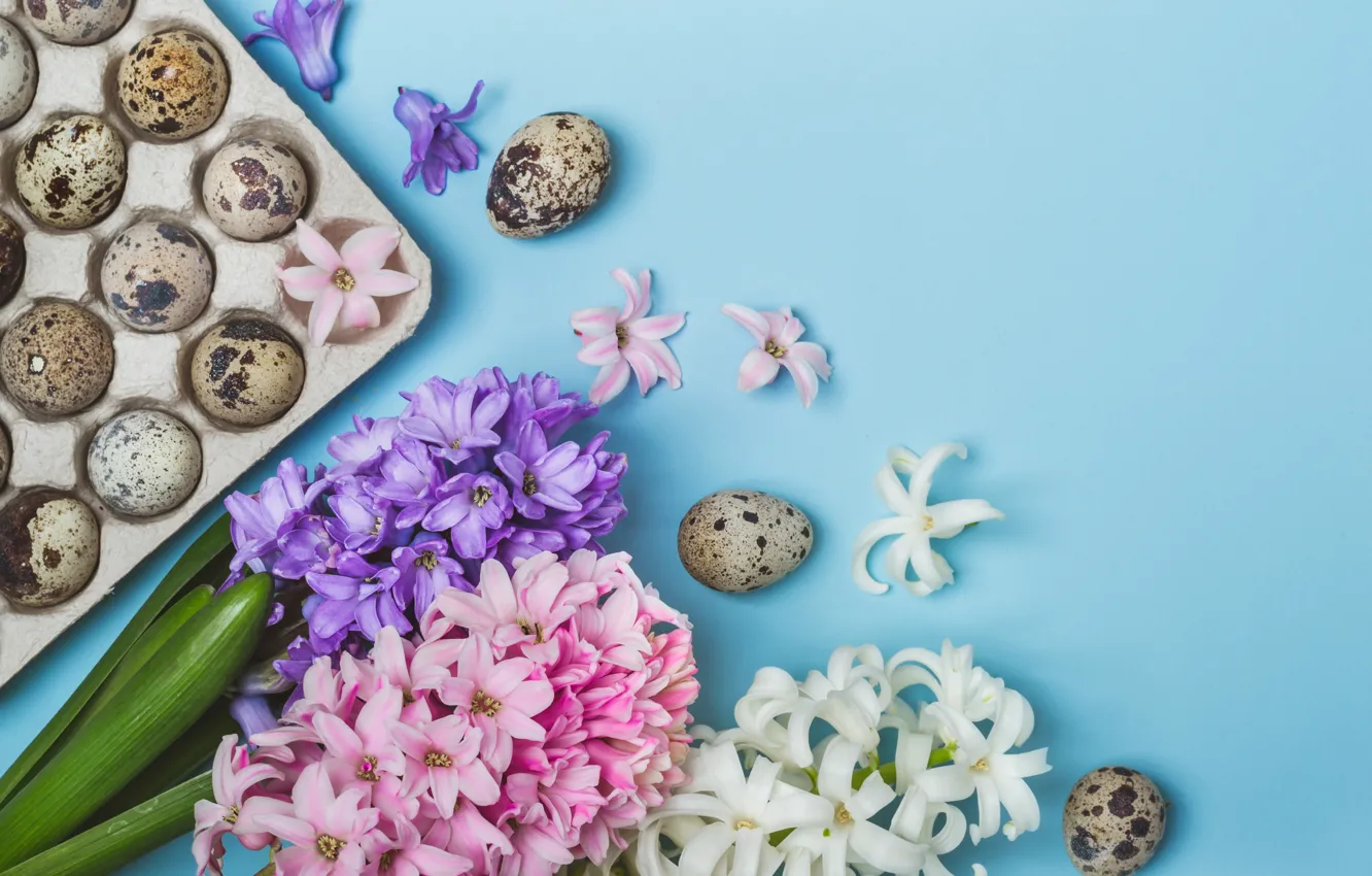 Photo wallpaper flowers, eggs, spring, Easter, flowers, spring, Easter, eggs