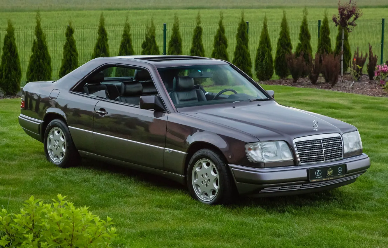 Photo wallpaper Coupe, C124, Sportline, Mercedec - Benz, 320ce