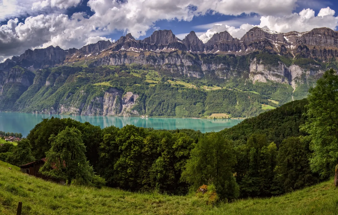 Photo wallpaper trees, mountains, lake, Switzerland, Alps, meadow, panorama, Switzerland