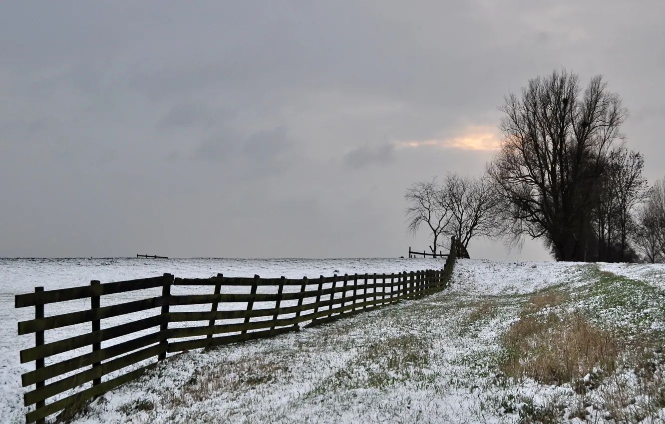 Photo wallpaper winter, frost, field, the sky, trees, the fence, grey