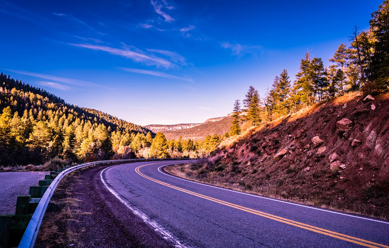 Photo wallpaper road, forest, mountains, USA