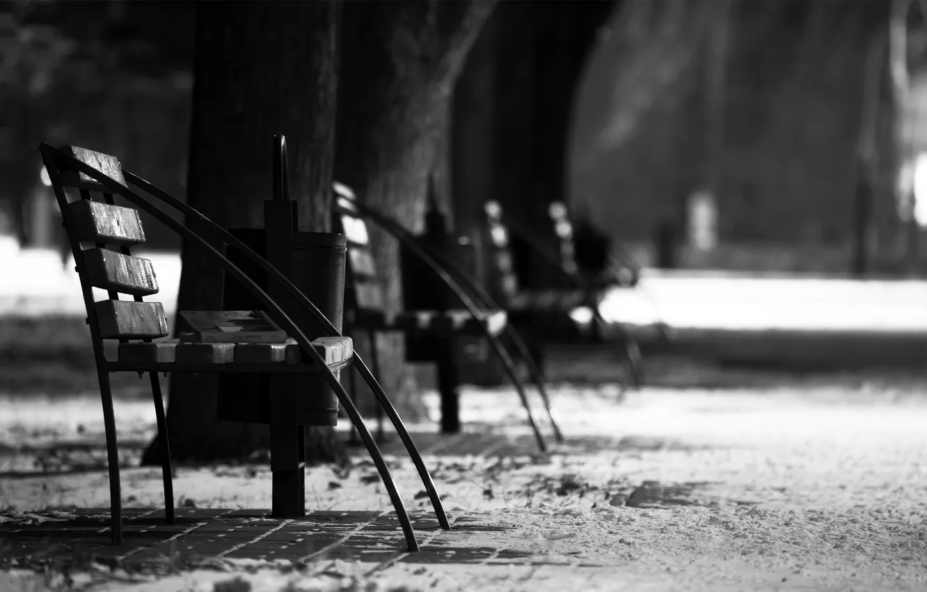 Photo wallpaper bench, city, the city, Park, mood, the evening, book, black and white