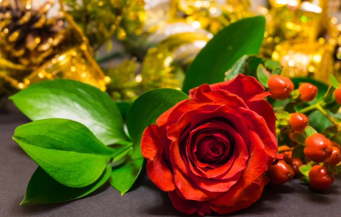 Photo wallpaper leaves, roses, petals, buds