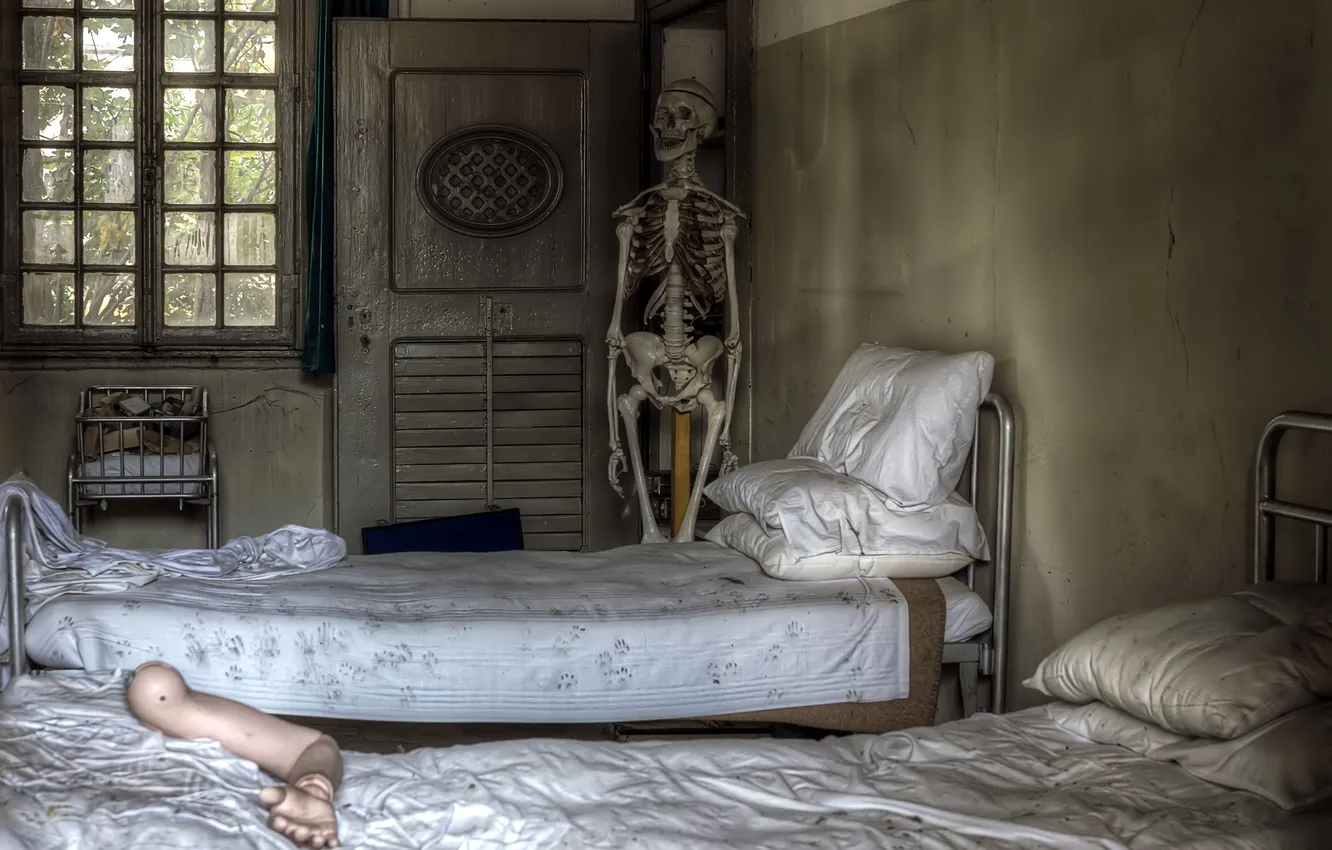 Photo wallpaper interior, skeleton, bedroom