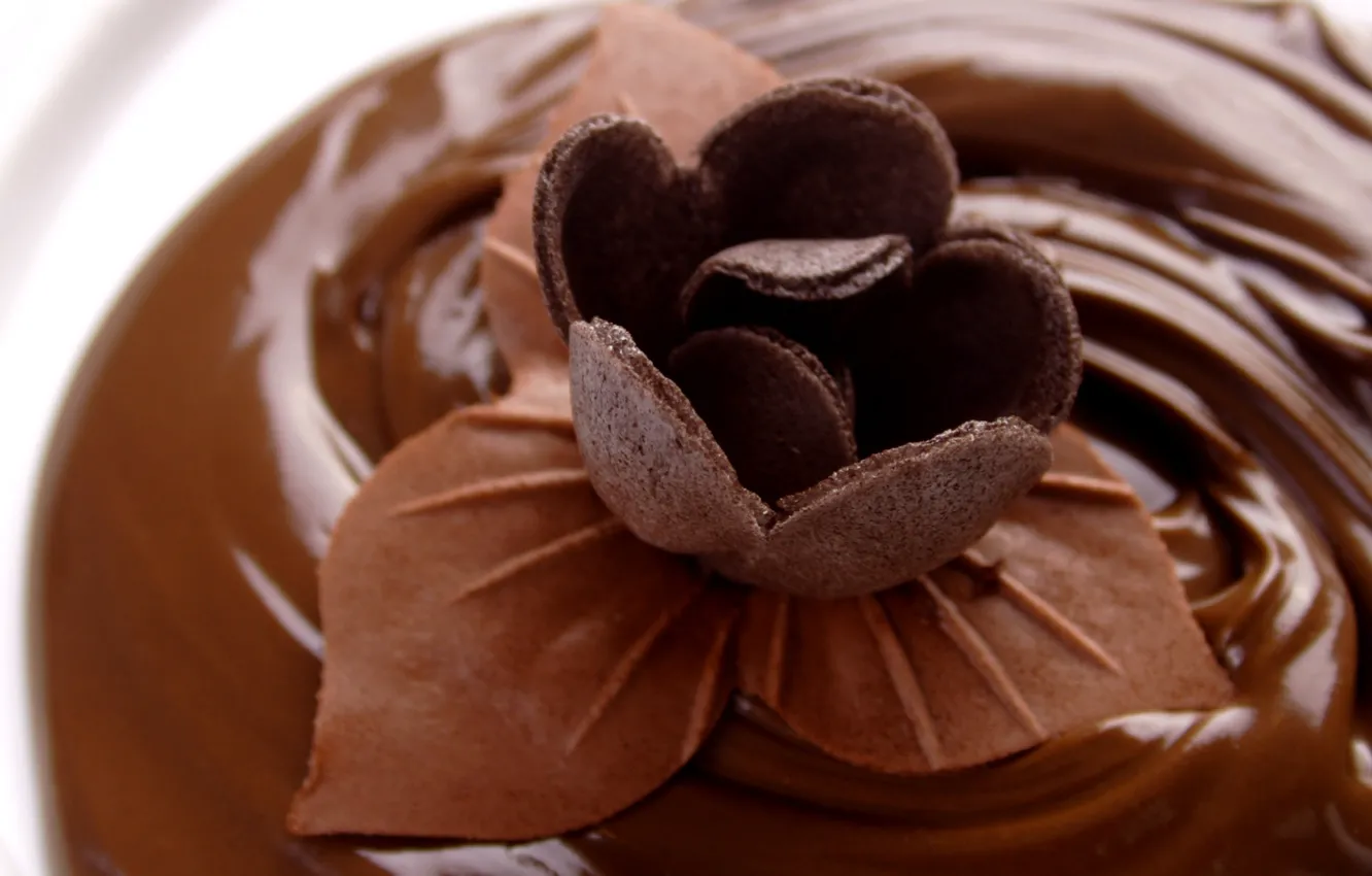 Photo wallpaper food, sweet, brown background, chocolate. chocolate flower