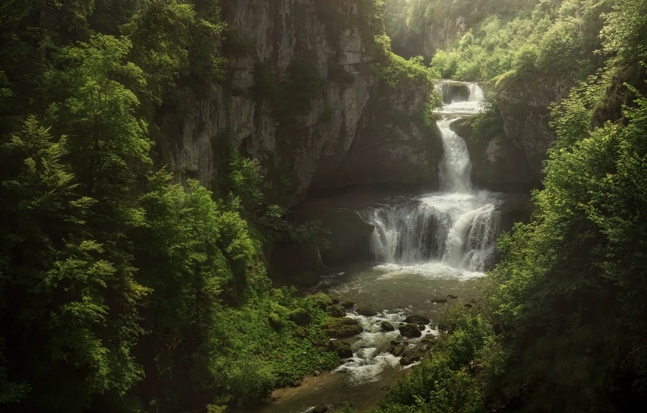 Photo wallpaper forest, nature, river, rocks, waterfall