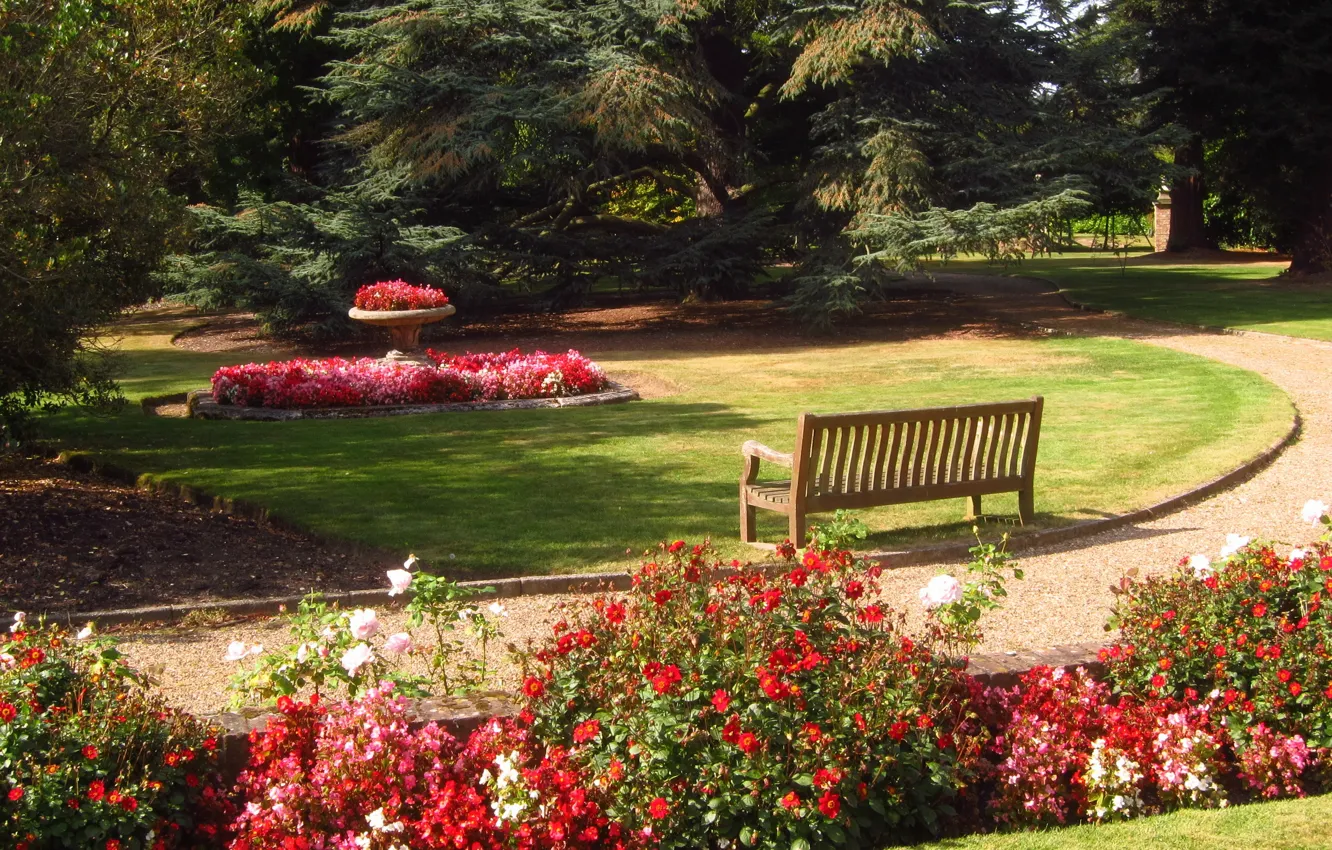 Photo wallpaper bench, nature, photo, England, garden, Barnet, Beale Arboretum