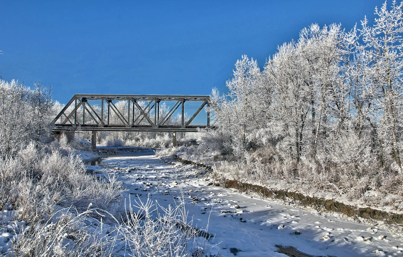 Photo wallpaper winter, the sky, snow, trees, bridge, direction