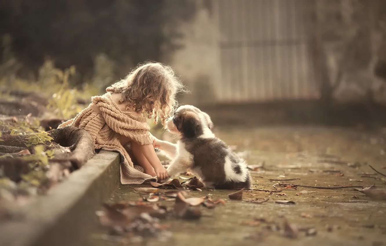 Photo wallpaper border, girl, puppy, curls