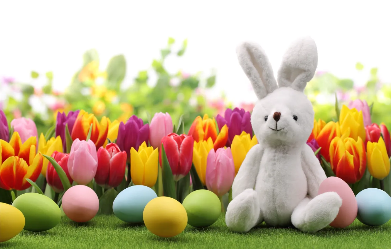 Photo wallpaper eggs, rabbit, Easter, tulips, flowers, tulips, spring, Easter
