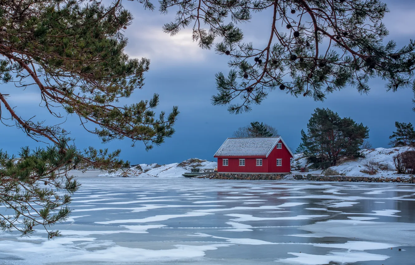 Photo wallpaper ice, winter, branches, lake, home, Norway, pine, Norway