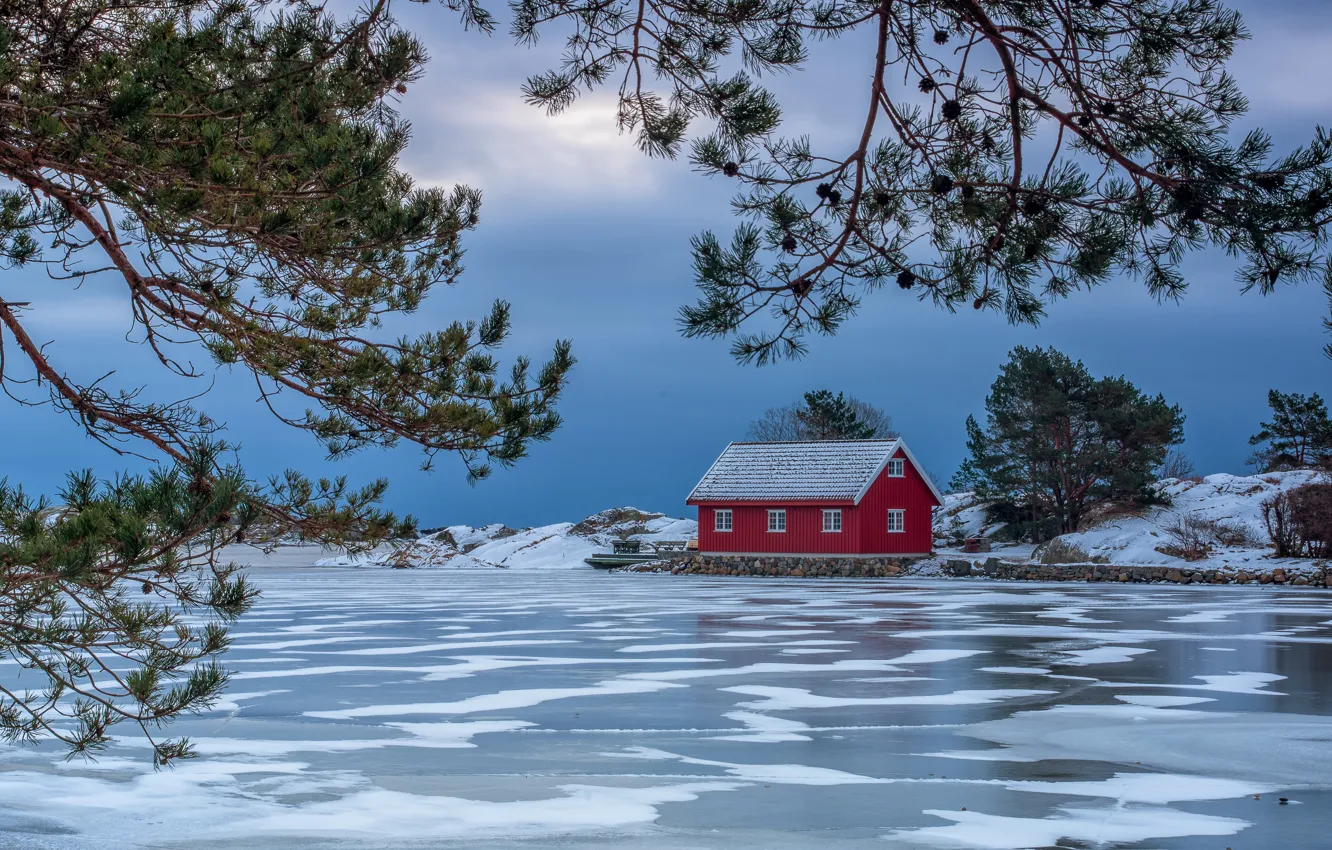 Photo wallpaper winter, branches, lake, house, ice, Norway, pine, Norway
