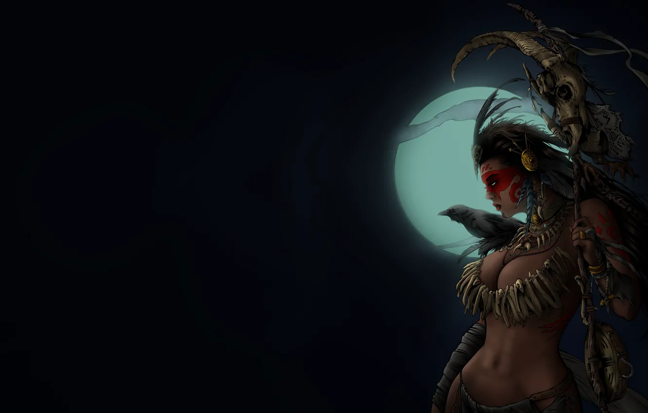 Photo wallpaper girl, the moon, sake, girl, moon, Raven, crow, night
