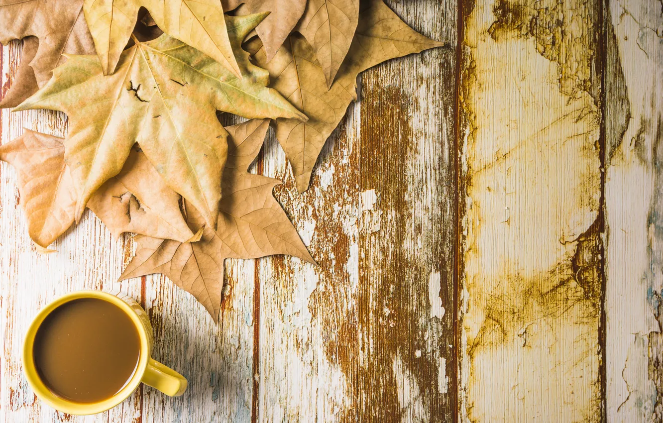 Photo wallpaper autumn, leaves, background, tree, coffee, Cup, wood, background
