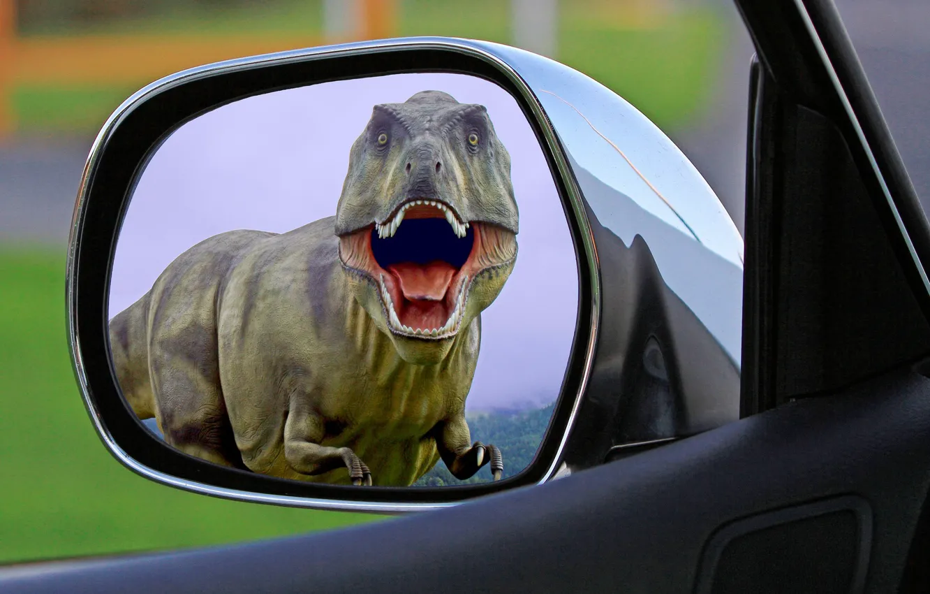 Photo wallpaper auto, dinosaur, predator, mouth, horror, T-Rex, Jurassic Park, in the mirror