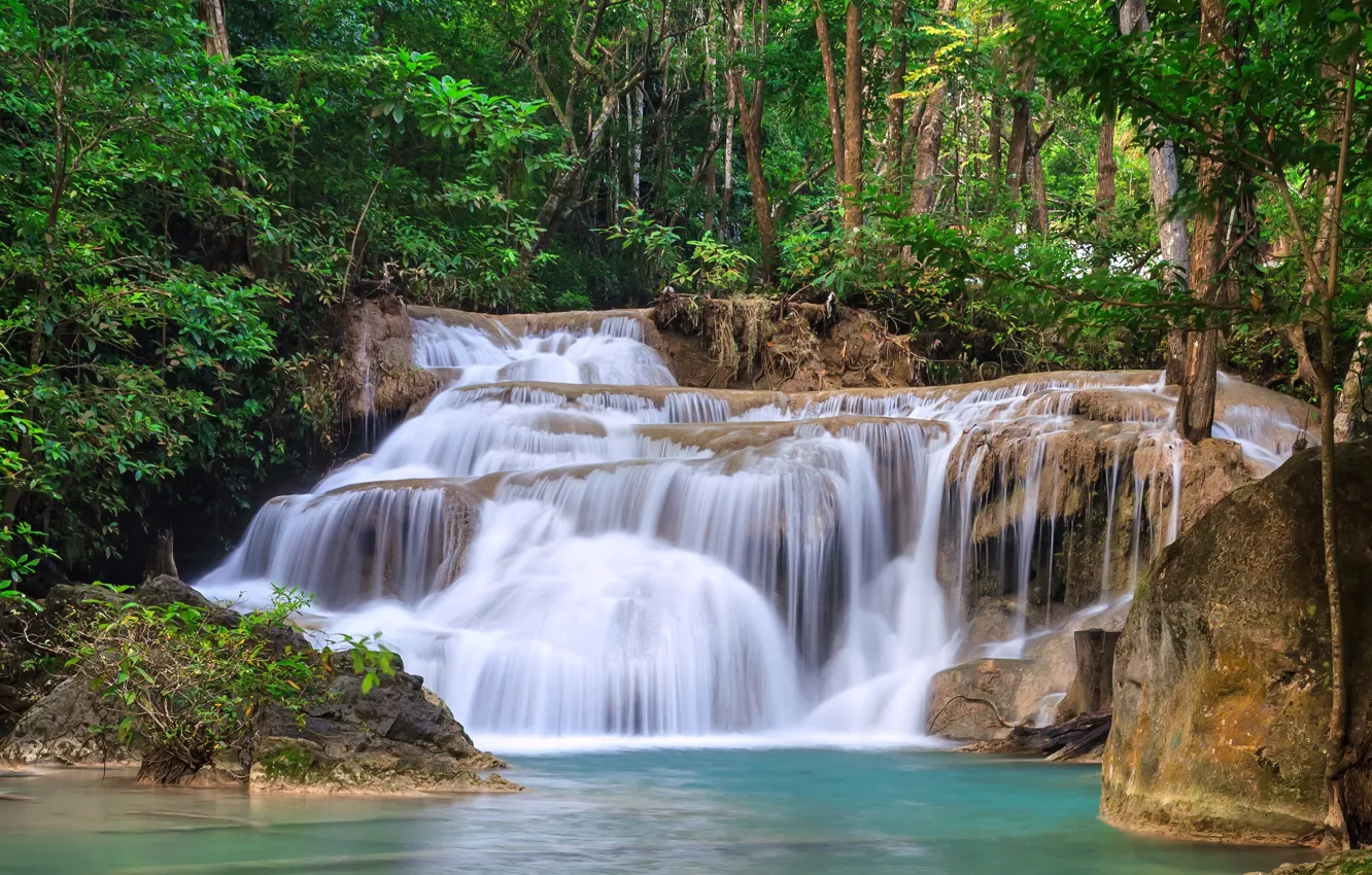 Photo wallpaper greens, forest, trees, stream, stones, waterfall, Thailand, Kanchanaburi