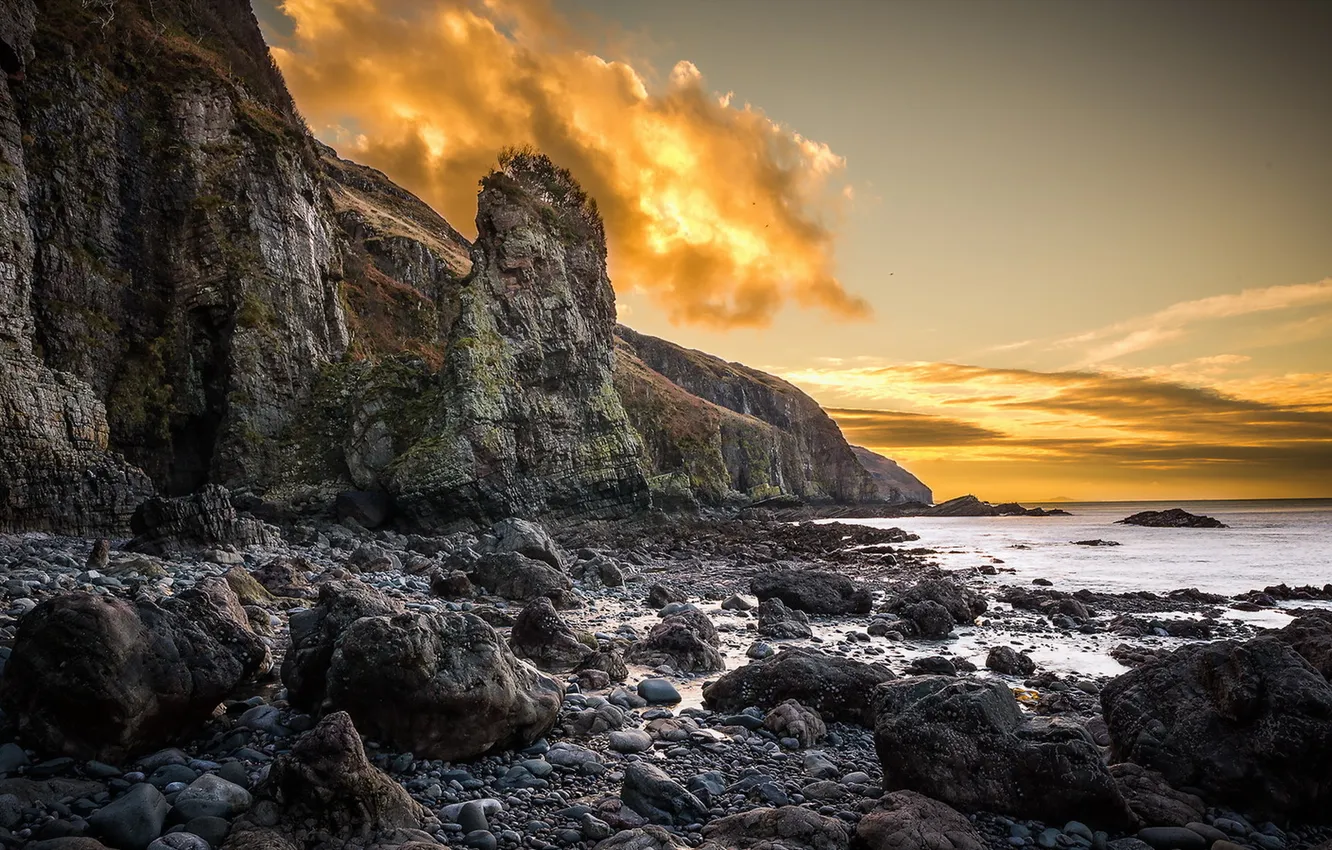 Photo wallpaper sea, rocks, morning