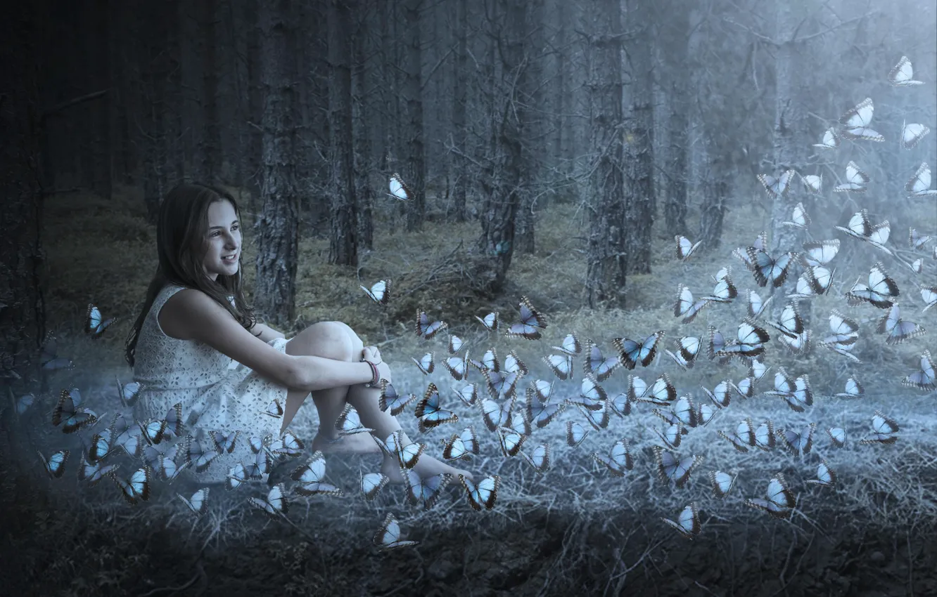 Photo wallpaper forest, girl, butterfly