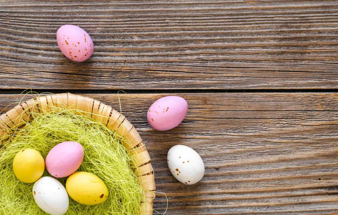 Photo wallpaper eggs, holiday, network, white, Easter, eggs, Board, painted