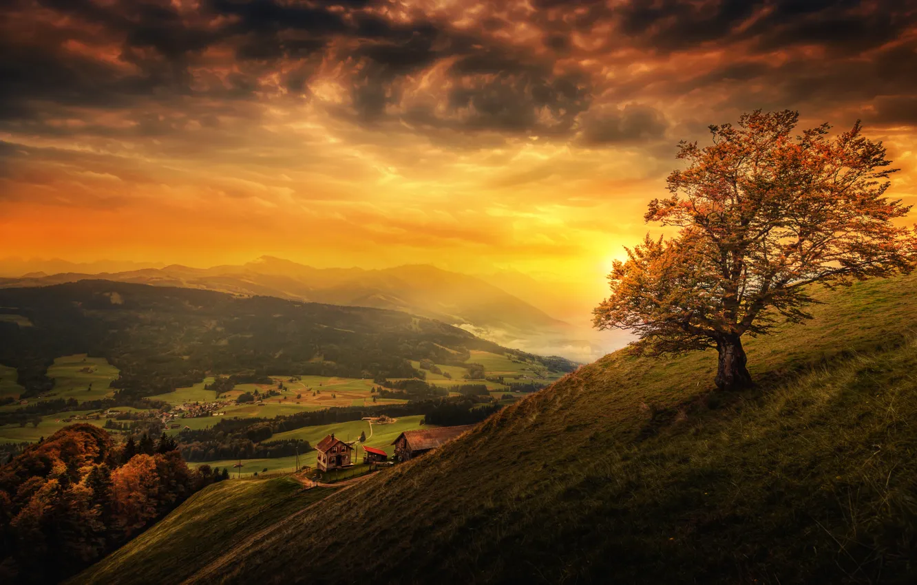 Photo wallpaper the sky, clouds, sunset, mountains, tree, field, treatment, Switzerland