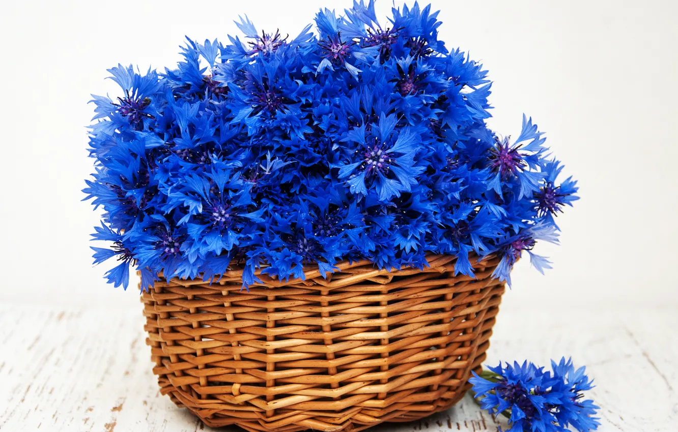 Photo wallpaper flowers, basket, cornflowers