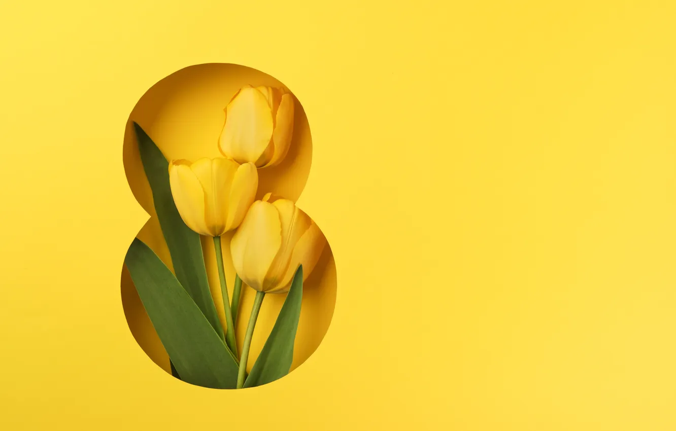 Photo wallpaper flowers, figures, tulips, March 8, yellow, flowers, tulips, spring