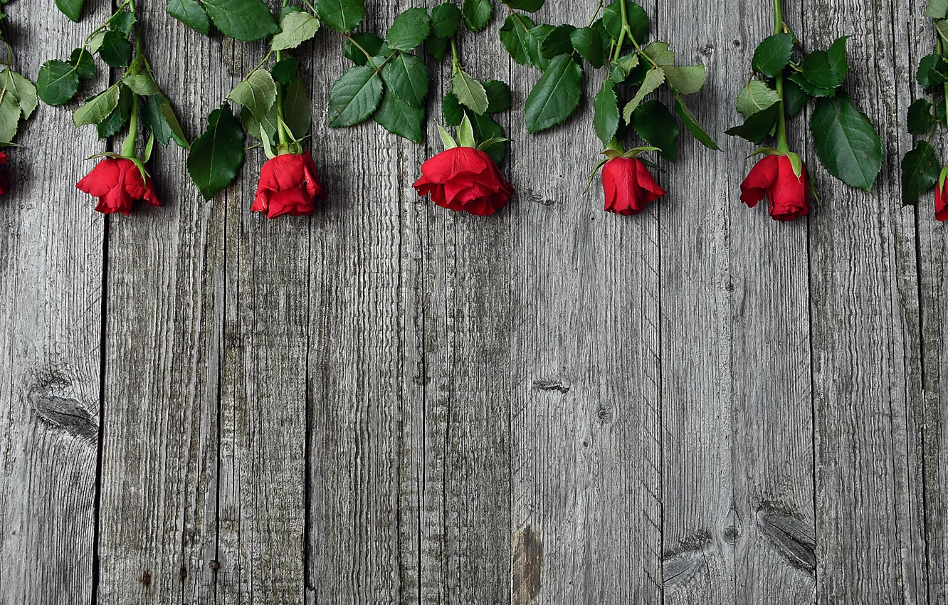 Photo wallpaper roses, red, wood, decor