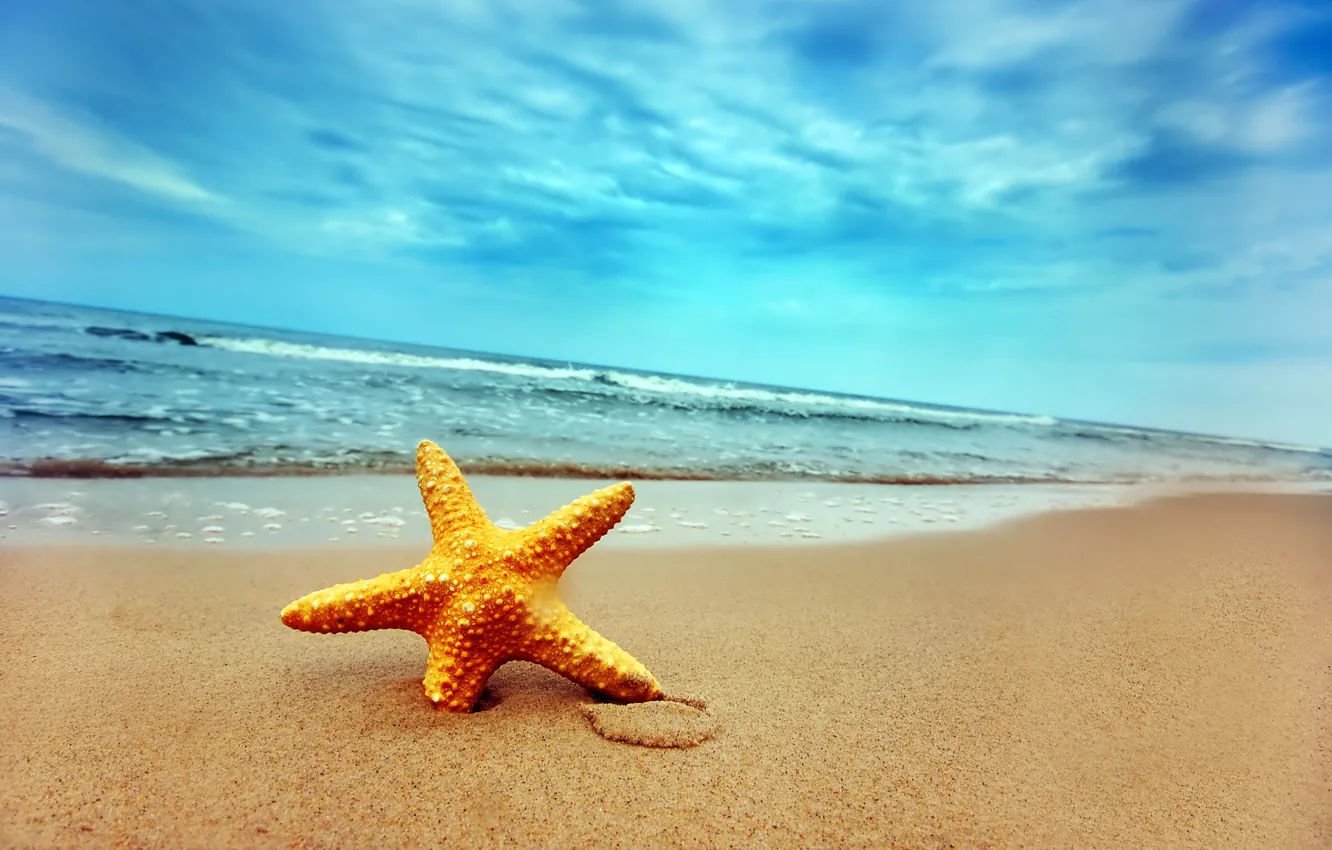 Photo wallpaper sand, wave, shore, star, 155