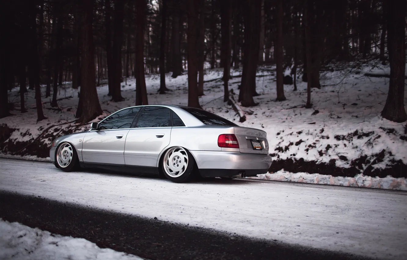 Photo wallpaper forest, snow, Audi, Audi, silver, stance, Doroga