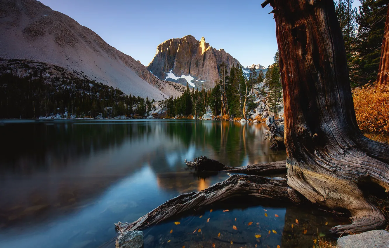 Photo wallpaper autumn, trees, mountains, rock, lake, CA, California, Sierra Nevada
