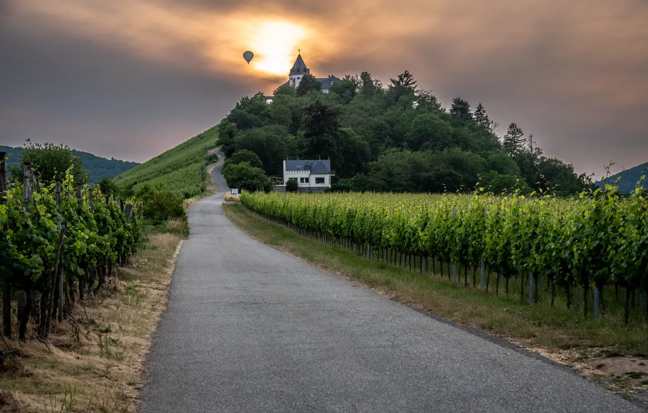 Photo wallpaper road, the sky, the sun, trees, sunset, mountains, castle, hills
