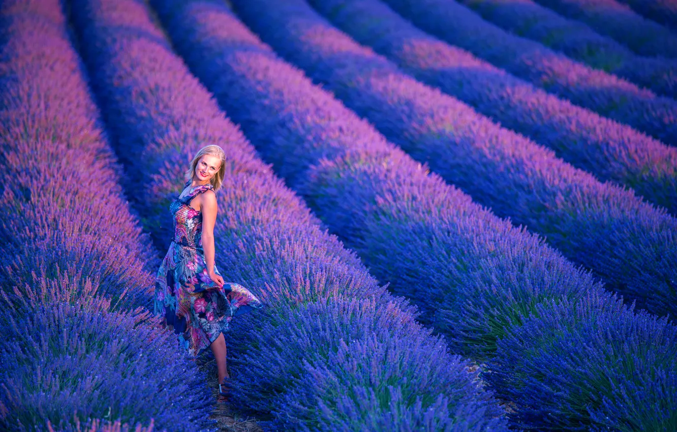 Photo wallpaper girl, dress, lavender, Lavender Season