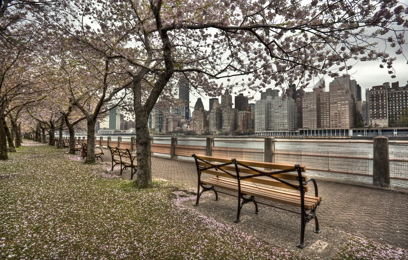 Photo wallpaper beach, the city, river, spring, promenade, New York, Roosevelt Island