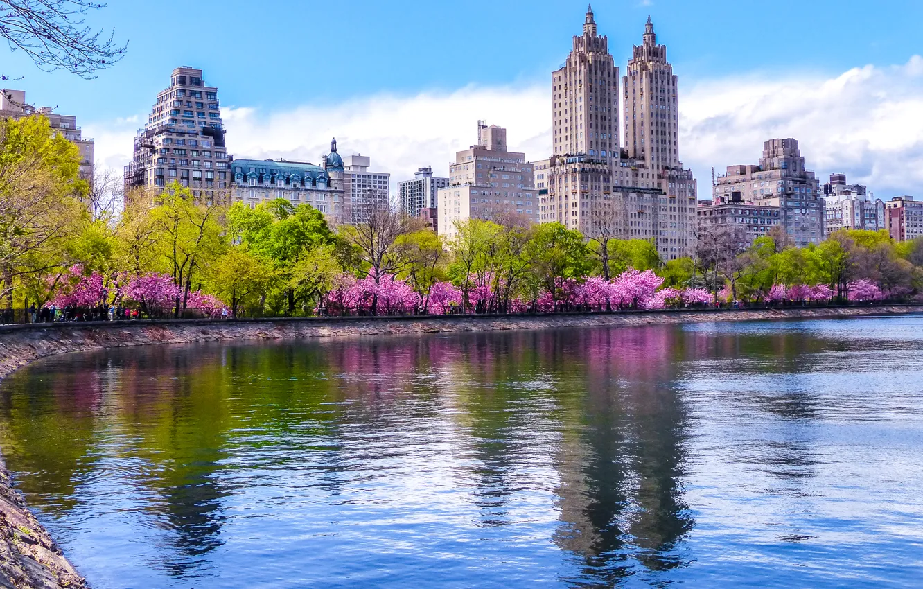 Photo wallpaper trees, home, spring, New York, USA, pond, blooming, Central Park