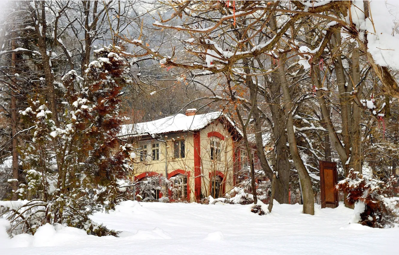 Photo wallpaper Winter, Trees, Snow, House, Frost, Winter, Frost, Snow