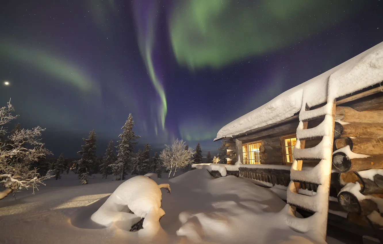 Photo wallpaper winter, forest, the sky, snow, night, Northern lights, the snow, house