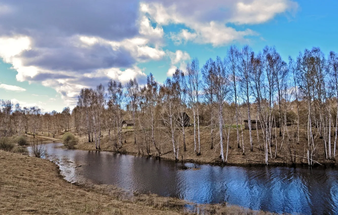 Photo wallpaper trees, landscape, river