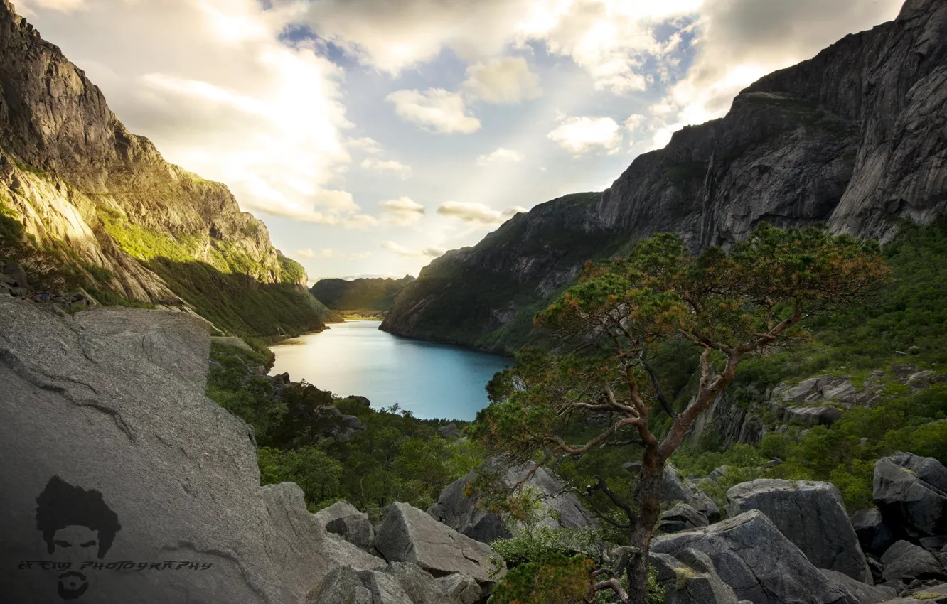 Photo wallpaper trees, sunset, mountains, nature, lake, gorge