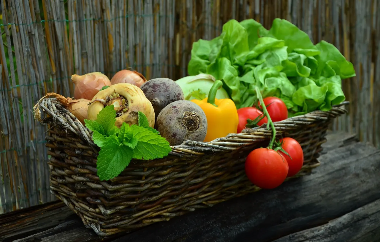 Photo wallpaper Basket, tomatoes, salad, beets