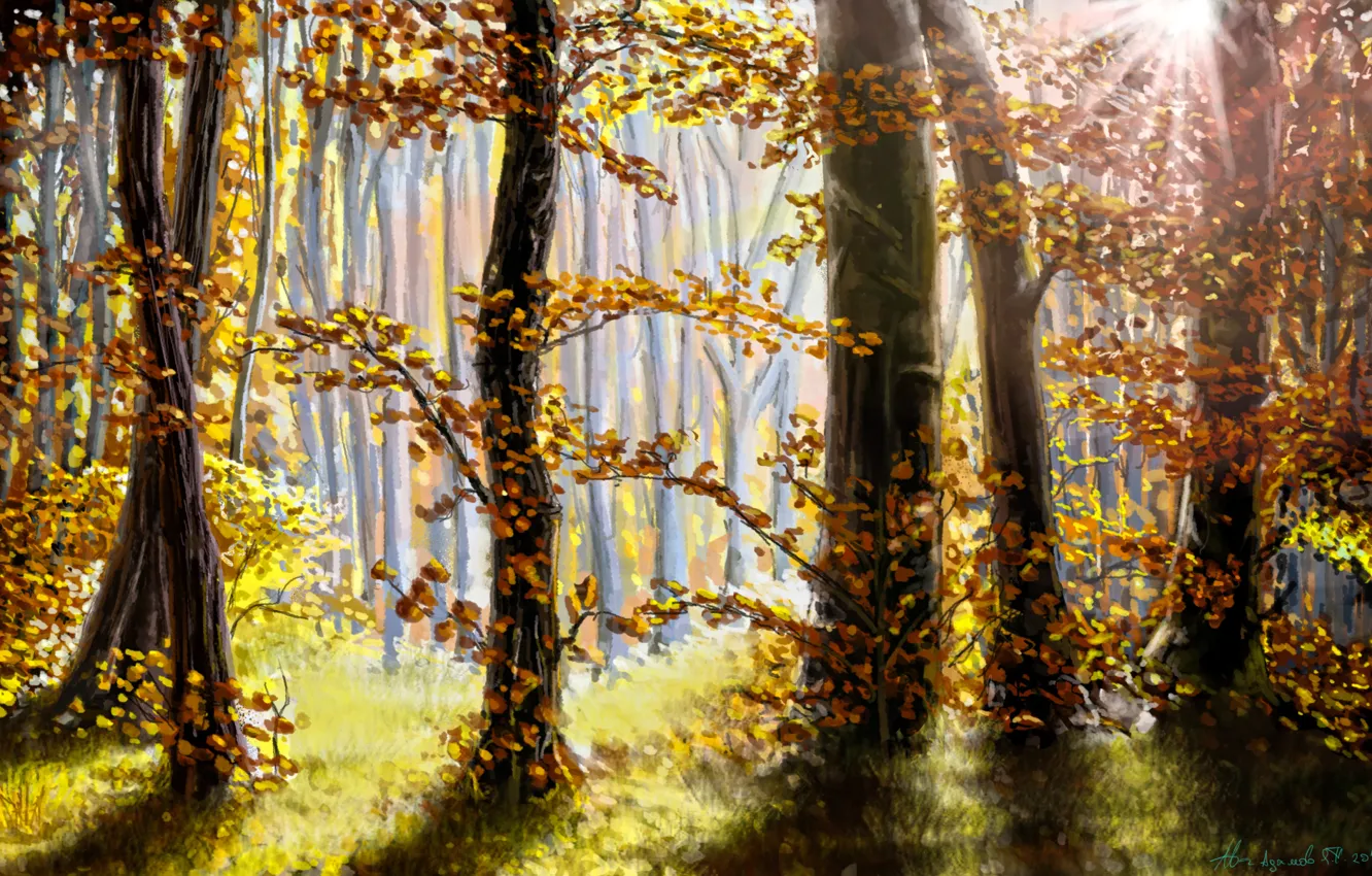 Photo wallpaper autumn, forest, leaves, the sun, rays, trees, nature