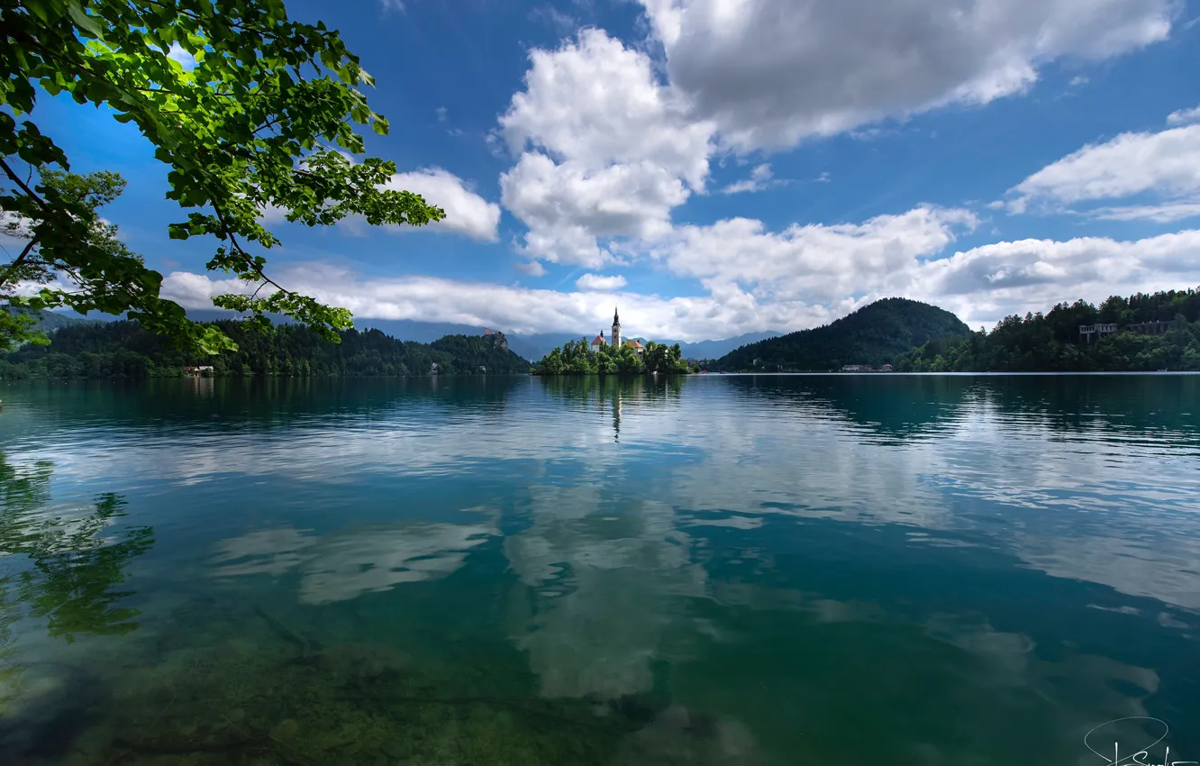 Photo wallpaper greens, forest, the sky, the sun, clouds, trees, mountains, branches