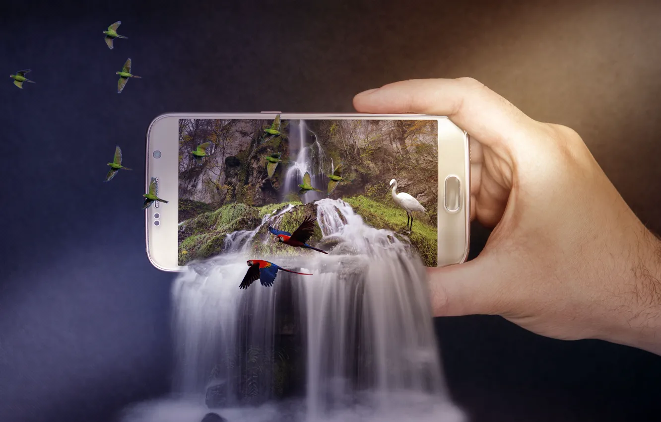 Photo wallpaper nature, background, bird, photoshop, waterfall, hands, parrot, cascade
