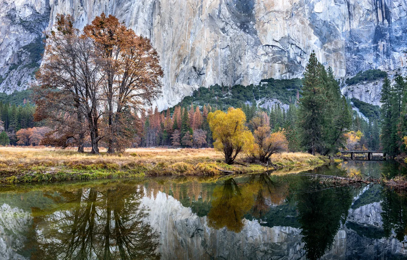 Photo wallpaper autumn, forest, trees, bridge, rocks, CA, USA, river