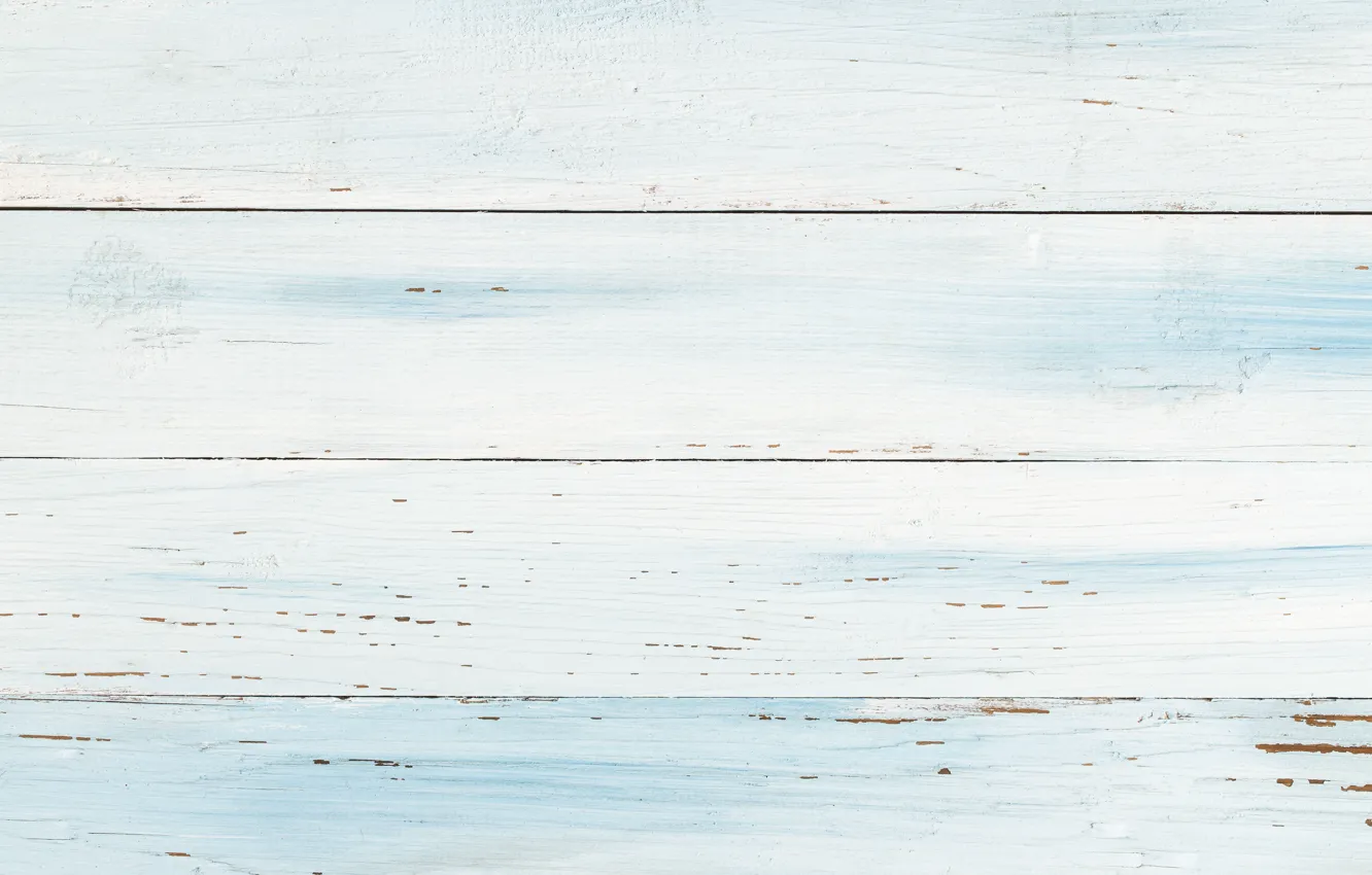 Photo wallpaper white, trees, background, blue, texture, white, wood, texture